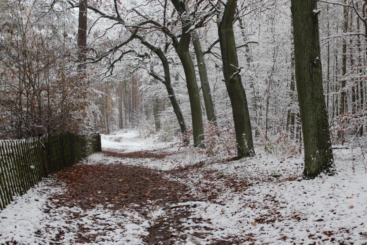 Moderne Im Skandinavischen Stil Am Waldrand Appartamento *