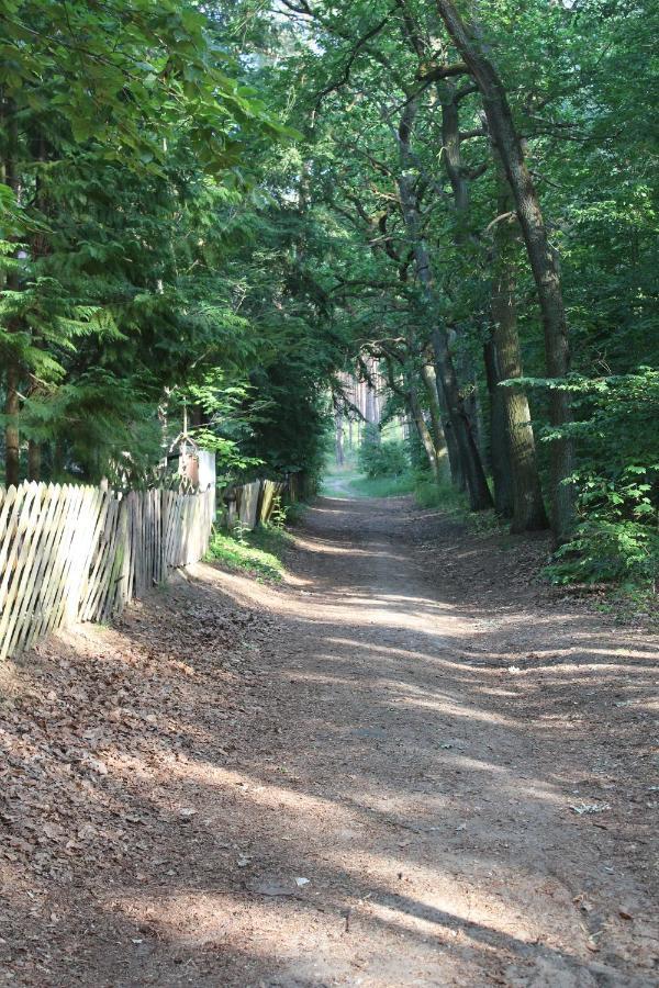 Moderne Im Skandinavischen Stil Am Waldrand * Schwielowsee